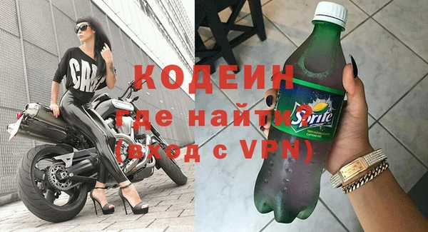 хмурый Карпинск