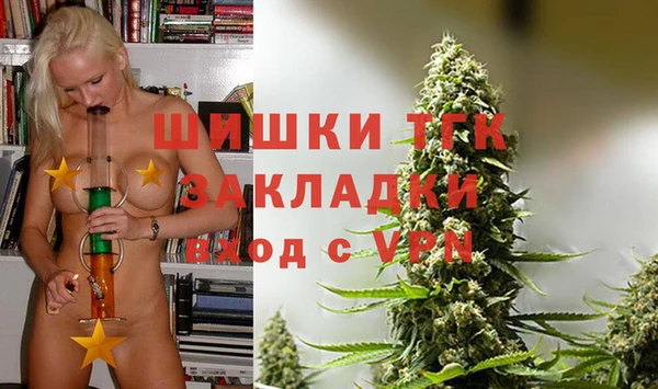 хмурый Карпинск