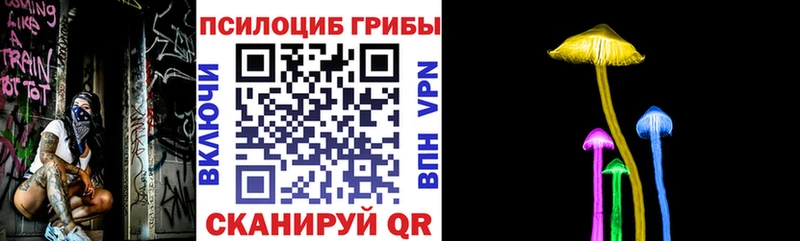 даркнет сайт Брюховецкая Псилоцибиновые грибы Psilocybine cubensis
